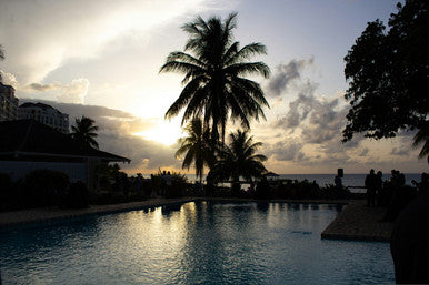 Carribean Vibes