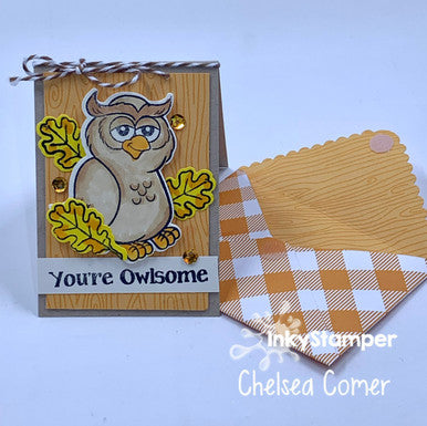 Fun owl mini card using Owl stamp set by InkyStamper