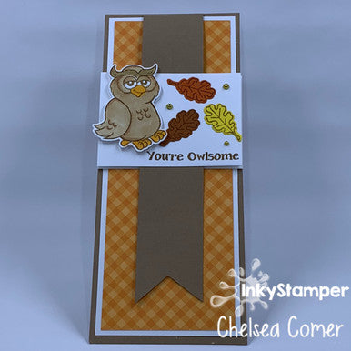 Owlsome Fun Fold Card