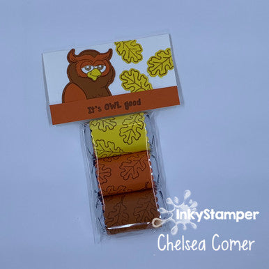 Owlsome Chocolate Treat