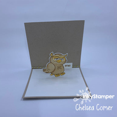 Owlsome Fun Fold Card