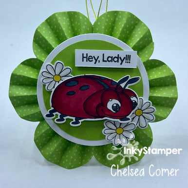 Ladybug