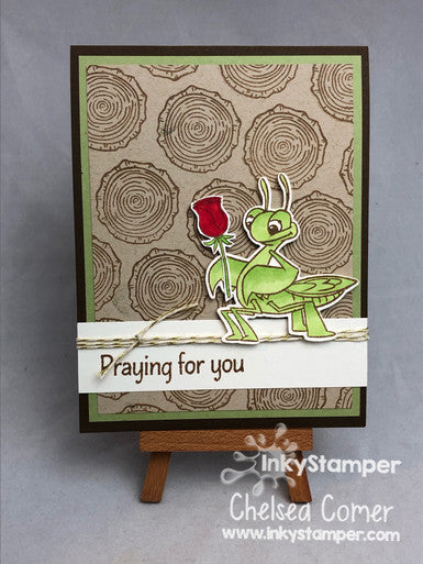 fun card using Praying Mantis stamp set by InkyStamper