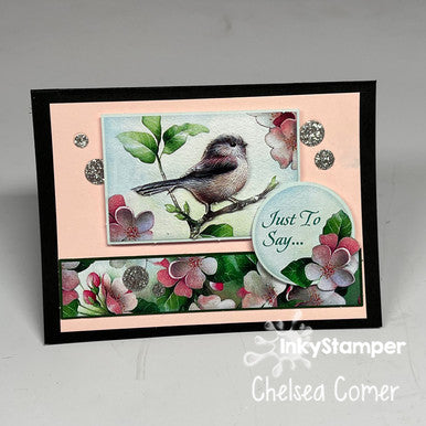 Additional Mini Card