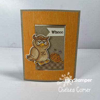Accordion Owl Window Card Closed