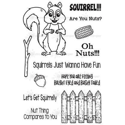 Squirrel